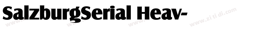 SalzburgSerial Heav字体转换 SalzburgSerial Heav字体转换